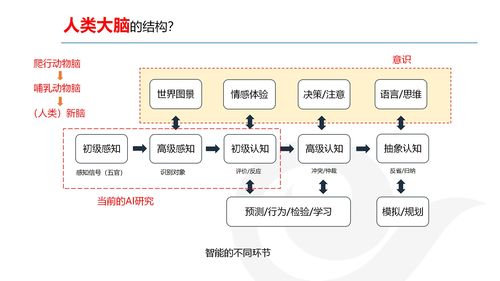 AI产品经理的发展与规划 网络技术开发视角