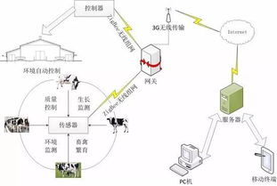 设施农业如何借助互联网技术发展智慧农业