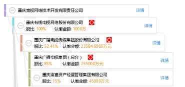 重庆宽视网络技术开发有限责任公司 创新驱动网络技术开发与数字化转型